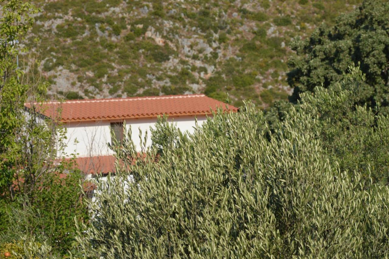 Tolis Rooms Himara Zewnętrze zdjęcie