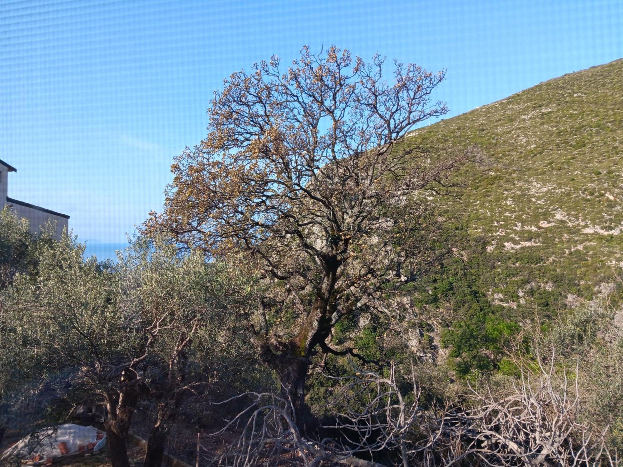 Tolis Rooms Himara Zewnętrze zdjęcie